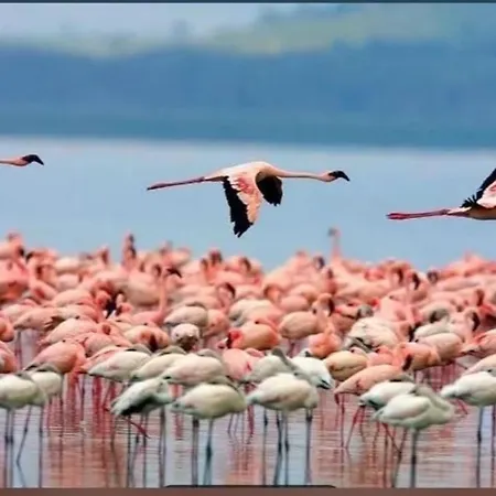 Casa Leonor Ciudad Quesada