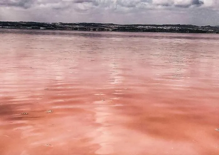 Casa Leonor Ciudad Quesada