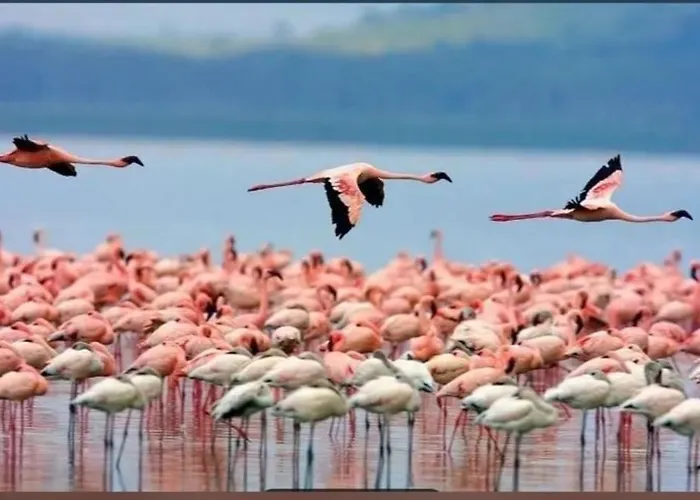Casa Leonor Ciudad Quesada